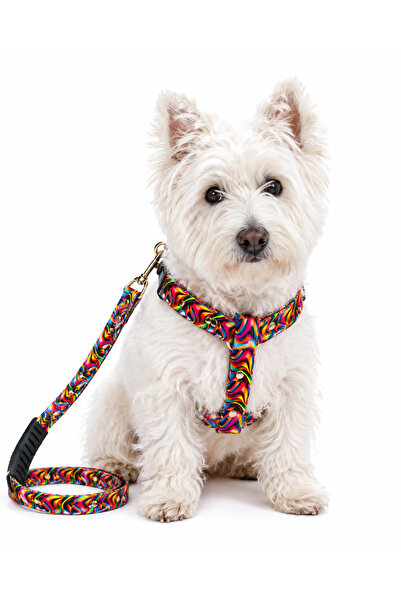 Angelapets Dog Chest Collar, Walking Strap Set Cars Series
