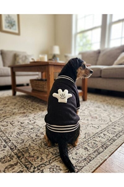 atelyu Cat Dog Outfit Black Sweatshirt