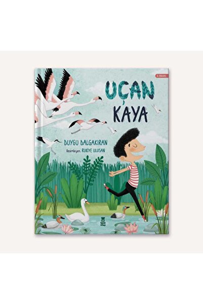 Taze Kitap Uçan Kaya Duygu Dalgakıran Kitabı 40 Sayfa Taze Kitap