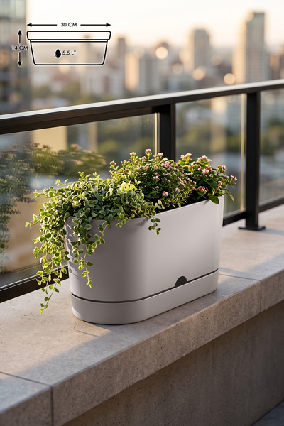 ToXA 5.5 Litre Bej Begonya Balkon Saksı Dekoratif Tabaklı Izgarasız Mat Plast...