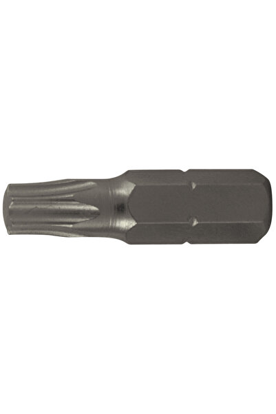 EvoTools Professional Bit șurubelniță Torx S2 - Tip T40 T40 25 mm