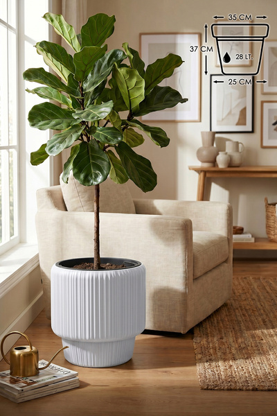 ToXA Lupus Kısa Model 28 Litre (37 cm) İç Hazneli Dekoratif Modern Plastik Sa...
