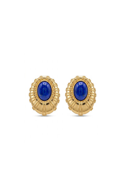 Charmist Steel Cleo Earrings