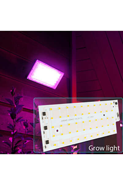 Parkson 220V 50W Grow Light 50W LED Chip AC 220V LED Floodlight SMD 2835 LED ...