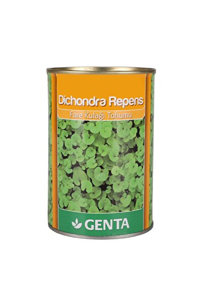 Genta Dichondra Repens Fare Kulağı Kundura Çimi Tohumu 250 gr
