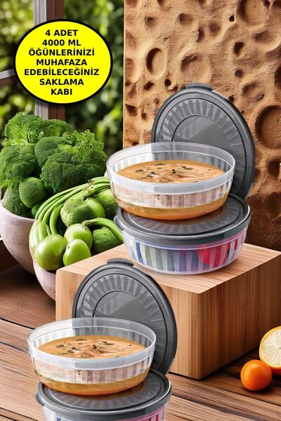 Open Home Concept 4 Pieces Round Storage Container Set with Lid - Bowl Microw...