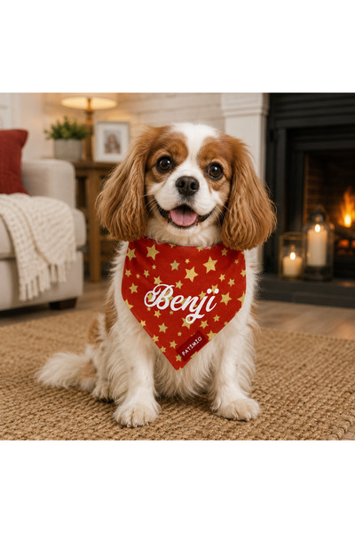 PATİMİO Isme Özel Kedi Ve Köpek Red Gold Stars Tasma Fular Bandana
