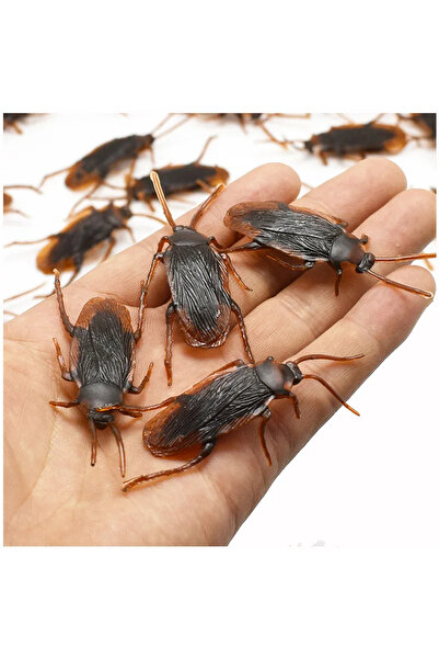 Choice1 30 Pcs Cockroach Special Lifelike Model Simulation Fake Cock Cockroac...