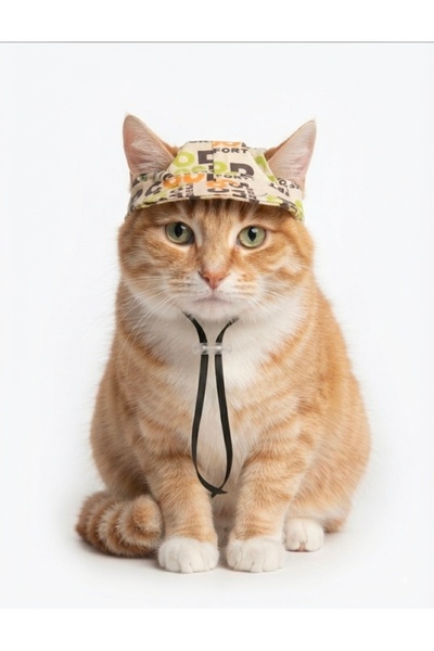 atelyu Cat Dog Outfit Summer Hat