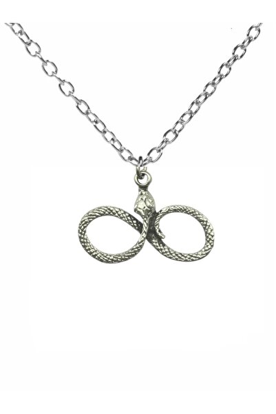 Herşey Nota Infinity Unisex Necklace with Snake Figure – 60 cm Chain, Transfo...