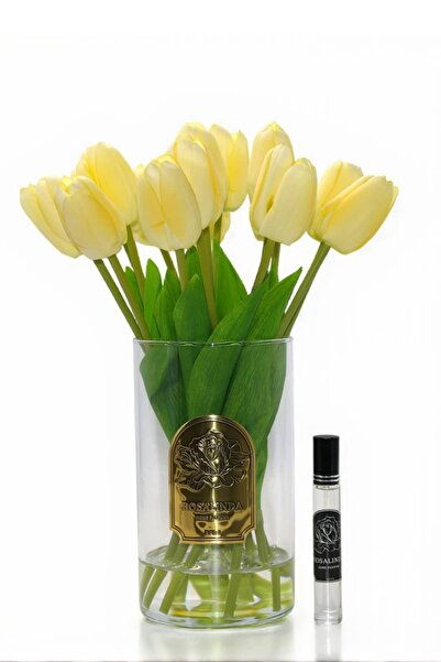 ROSALINDA ROSA UZUN CAM LALE GOLD KREM
