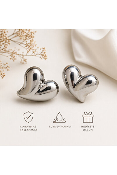 Mervişim Aksesuar Shiny Heart Sparkling Steel Earrings