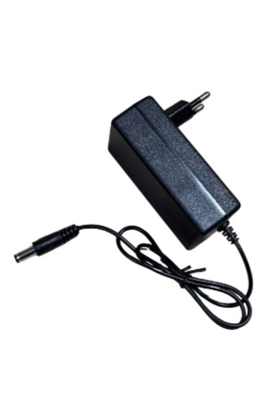 E-ANAMAG Φορτιστής 21V, 2A 110-240V, 50/60Hz, ΤΡΟΦΟΔΟΤΙΚΟ 21V