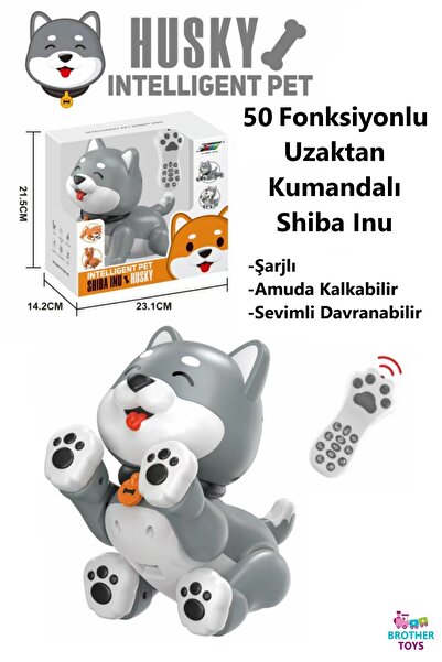 Brother Toys Uzaktan Kumandalı 50 Fonksiyon Akıllı İnteraktif Öğretici Robot ...