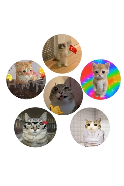 Fivy 6’lı Sarkastik Komik Kedi Rozet Seti 2