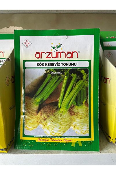 KÖK KEREVİZ TOHUMU