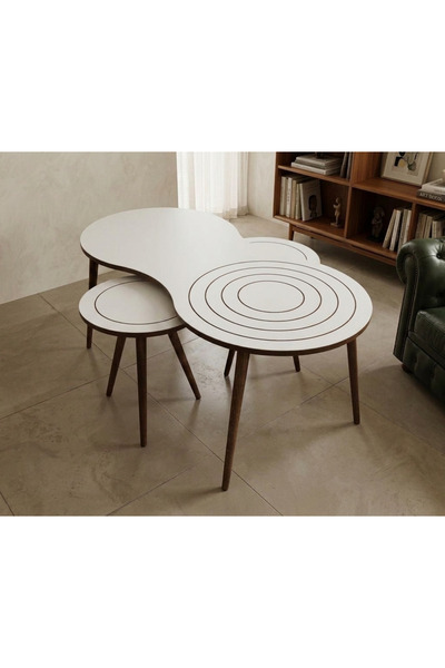 BAŞ ART SEHPA MDF 3'lü Orta ve Zigon Sehpa Takımı Set Modern Salon Sehpa Beya...