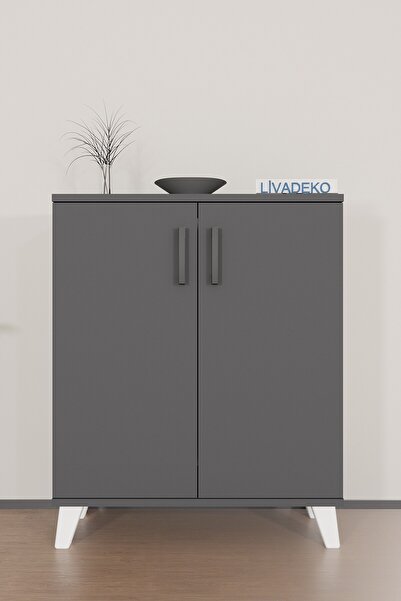 Livadeko Minimalist Ayakkabılık Dolap 4 Raflı | 2 Kapaklı Çok Amaçlı Dolap Ay...