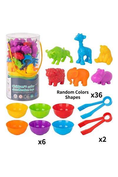 Choice1 wild animal Rainbow Counting Animal Traffic Car Early Education Toy A...