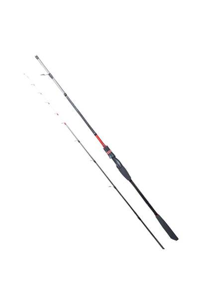 RYUJI Spectra SP 1.98M 70-300GR 2P Bot Kamışı