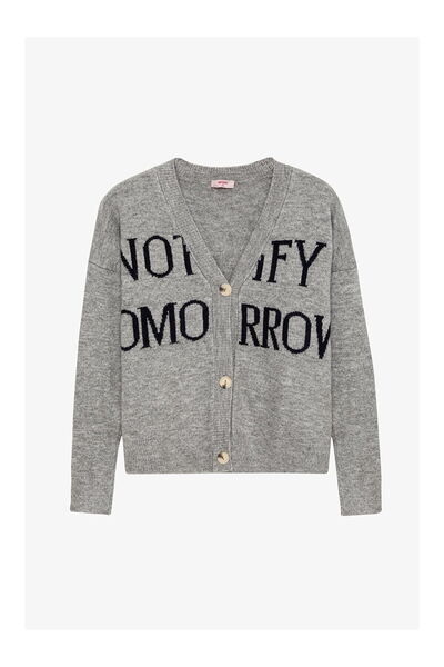 LC Waikiki Nevavm Letter Patterned Buttoned Oversize Knitwear Cardigan Gray
