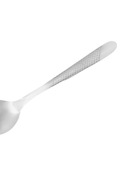 DELCASA Tea Spoon DC3529 Pack of 12, Stylish Finish, Light-Weight and 100% Food-Grade, Stainless Steel Construction