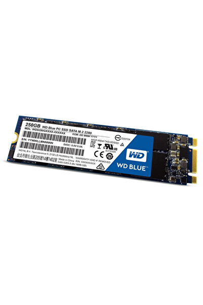 WESTERN DIGITAL WD Blue 250GB SATA3 **New Retail** M.2