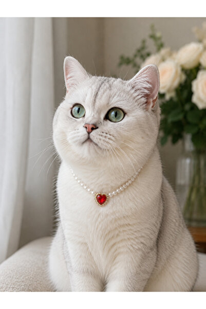 HALHALMILL Red crystal heart pearl cat necklace