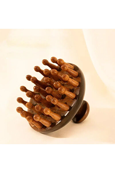 Choice فرشاة 28DS-Roud Loc للشعر المجدول، مشط خشبي للتدليك، أدوات تدليك وتمشي...