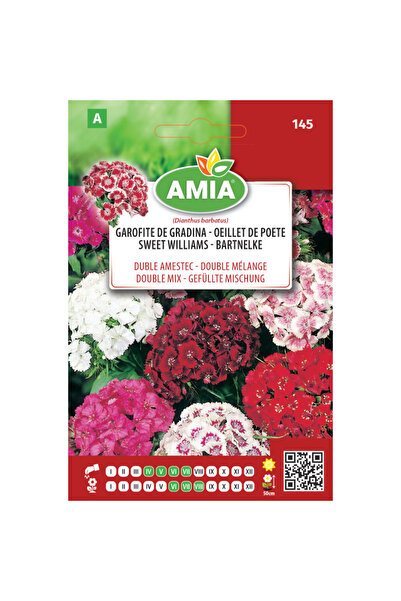Amia Seminte flori Garofite de gradina duble amestec 1,5 g