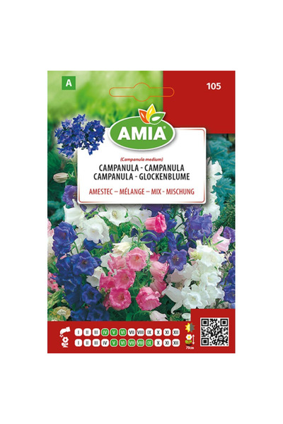 Amia Seminte de flori Campanula simplu amestec culori, 0,6 g