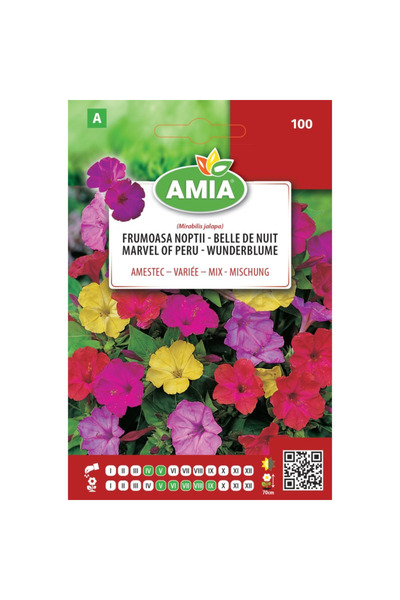 Amia Seminte de flori Frumoasa noptii, amestec culori, 3 g