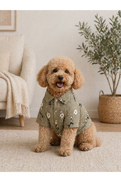 PetiliDünya Flower Shirt New Cat Dog Shirt Outfit