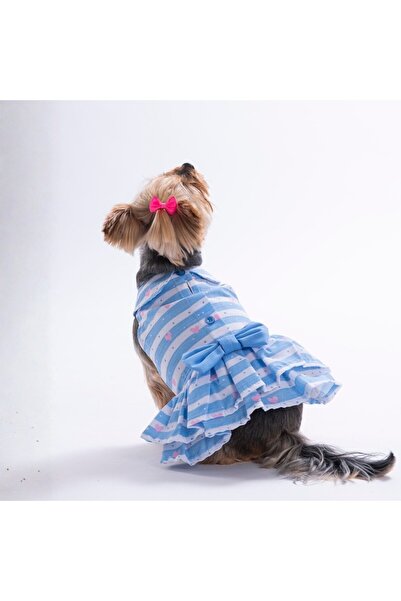 Pawstar Ocean Love Heart Patterned Cat Dog Dress - Cat Dog Outfit