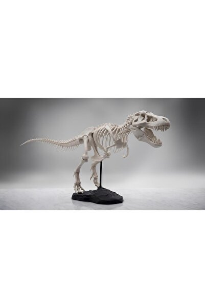 Decorius T-Rex Dinozor Maketi | İskelet Model | Eğitici & Dekoratif Biblo | G...