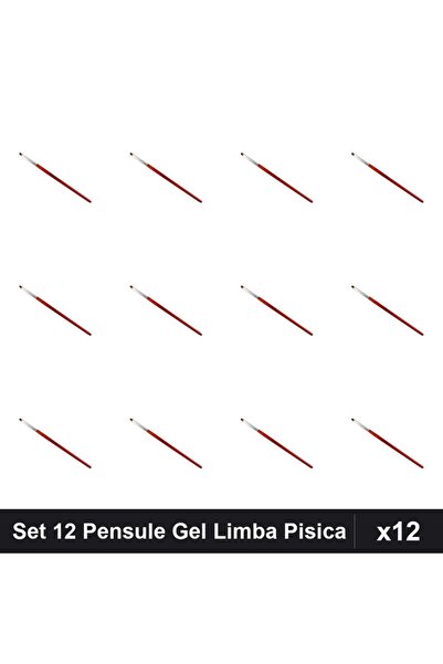 NAİLS Set 12 Pensule Gel Limba de Pisica nr.6, Manichiură Profesională, Unghi...