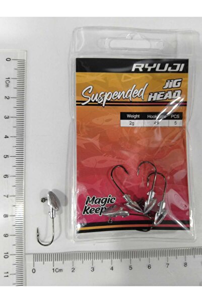 RYUJI Suspended Jighead 2 GR İğne No : 4