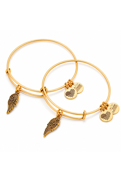 Alex and Ani Bratara Metal A16EB64RG