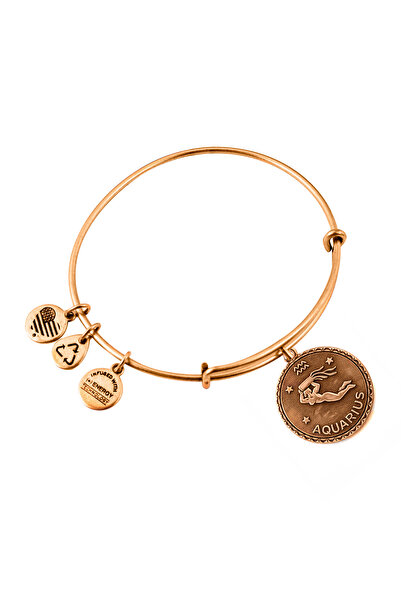 Alex and Ani Bratara Metal A07EB40AQRG