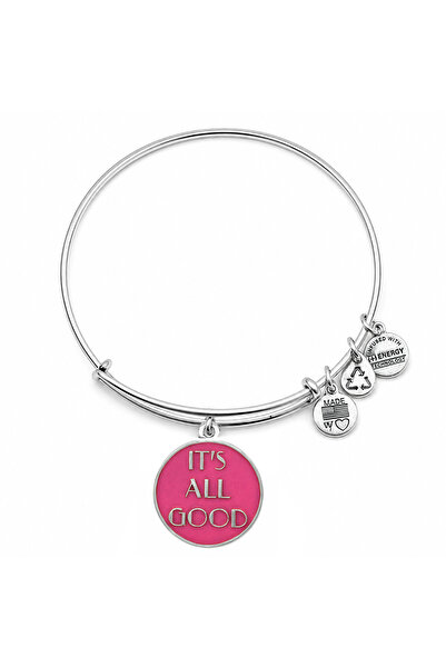 Alex and Ani Bratara Metal A12EB20RS