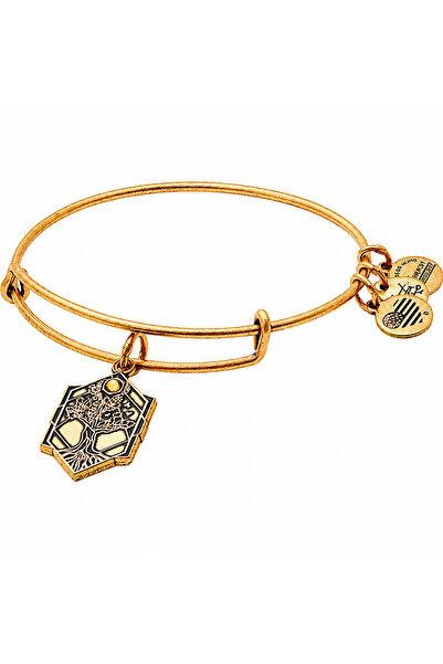 Alex and Ani Bratara Metal A17EBTOLRG
