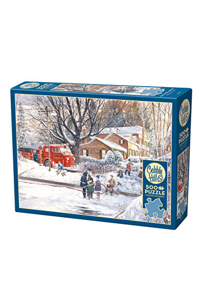 Cobble Hill Puzzle 500 Pregătiri pentru meciul G3