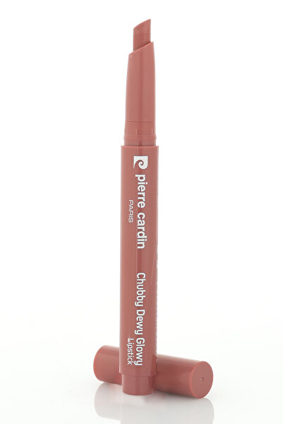 Pierre Cardin Chubby Dewy Glowy Lipstick-Lipstick-Vintage Rose-356
