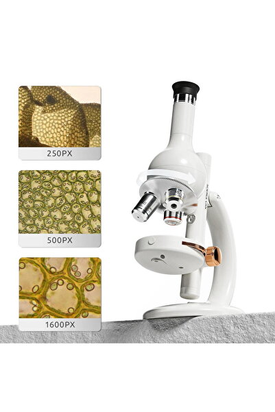 Science Can Mini laboratorul meu cu microscop