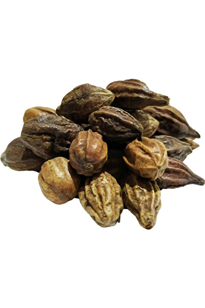 colezium Natural Yellow Halile Seed Yellow Halile 100 Gr Package