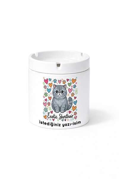 Kirbi Reklam Animal Exotic Shorthair Exotic Short-Haired Cat Printed Ashtray ...