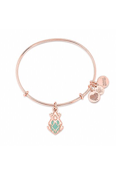 Alex and Ani ΓΥΝΑΙΚΕΙΟ ΒΡΑΧΙΟΛΙ A17EB03SR (20ΕΚ.)