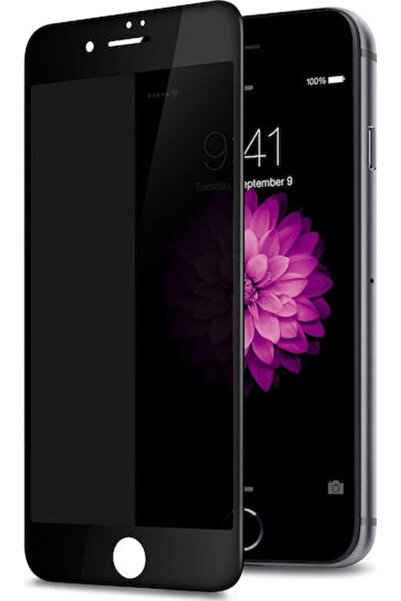OEM 5D Privacy Full Glue Full Face Tempered Glass Black (iPhone SE 2022 / 202...