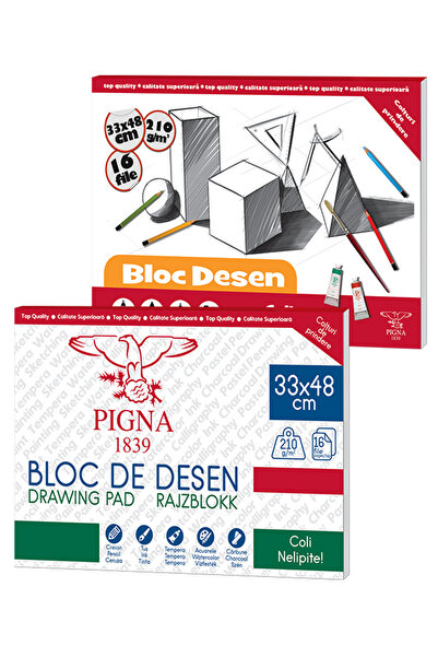 PIGNA Drawing pad 33x48 cm 210g 16 sheets