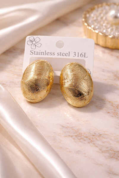 Bozhi Earrings Steel Silver Stylish Gift